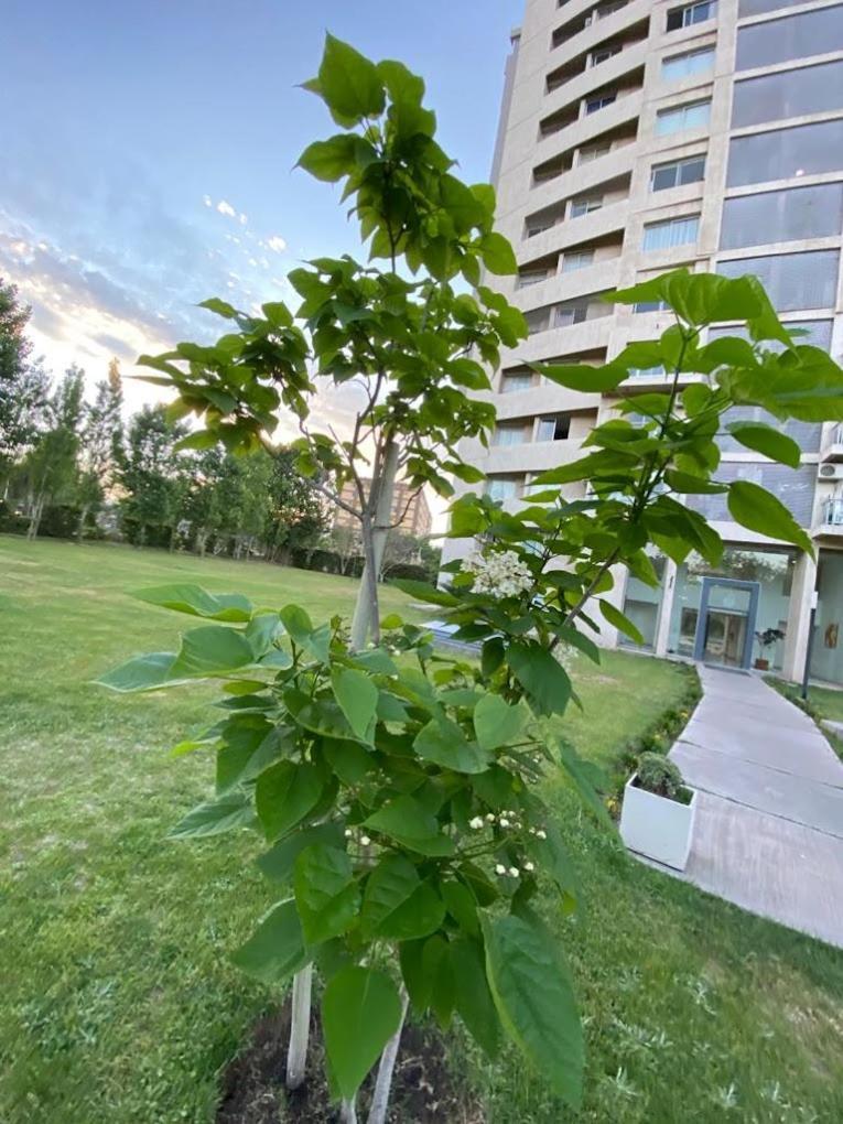 Centro-parque Central * Mendoza
